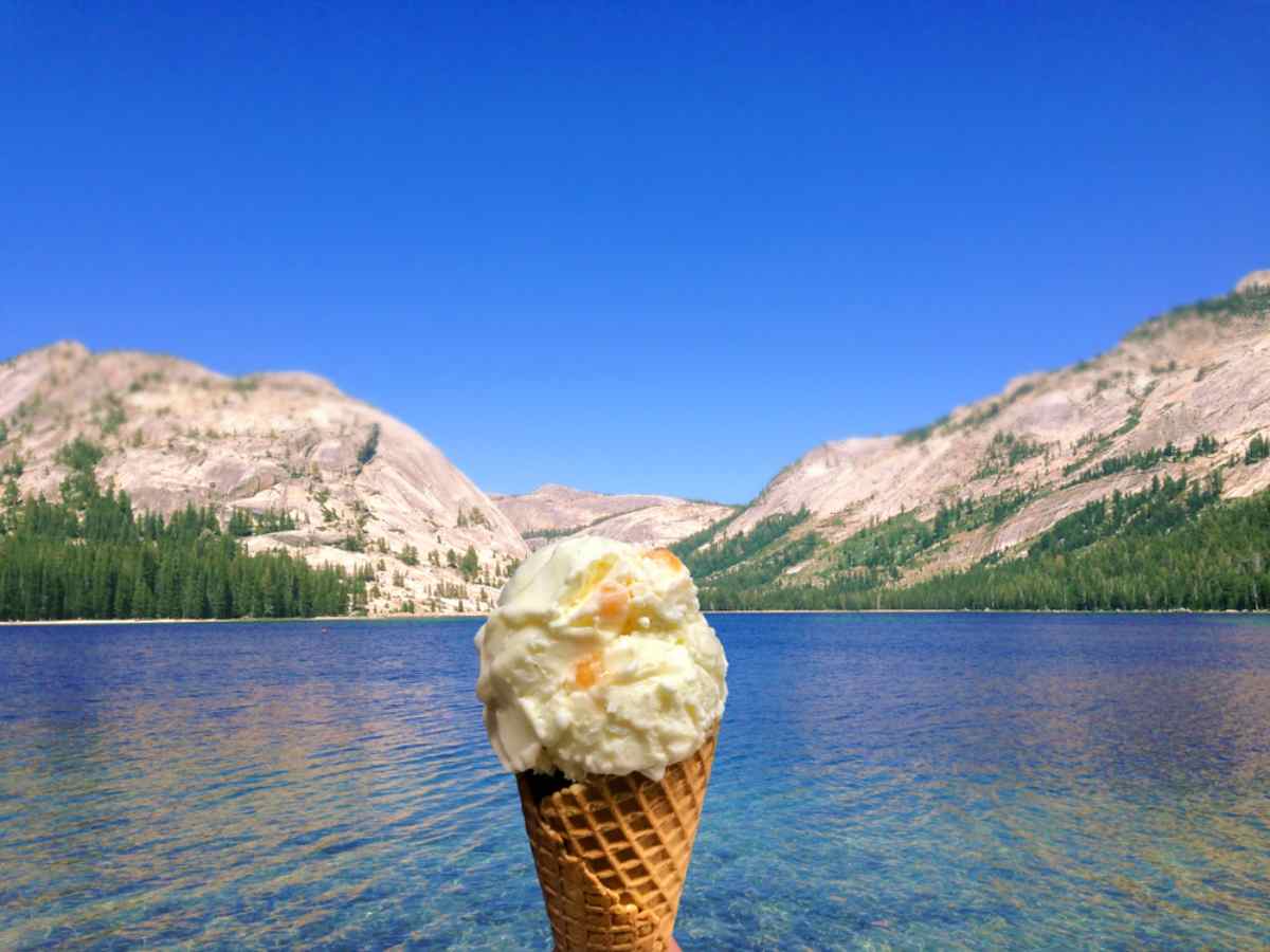 Hokey Pokey Ice Cream
