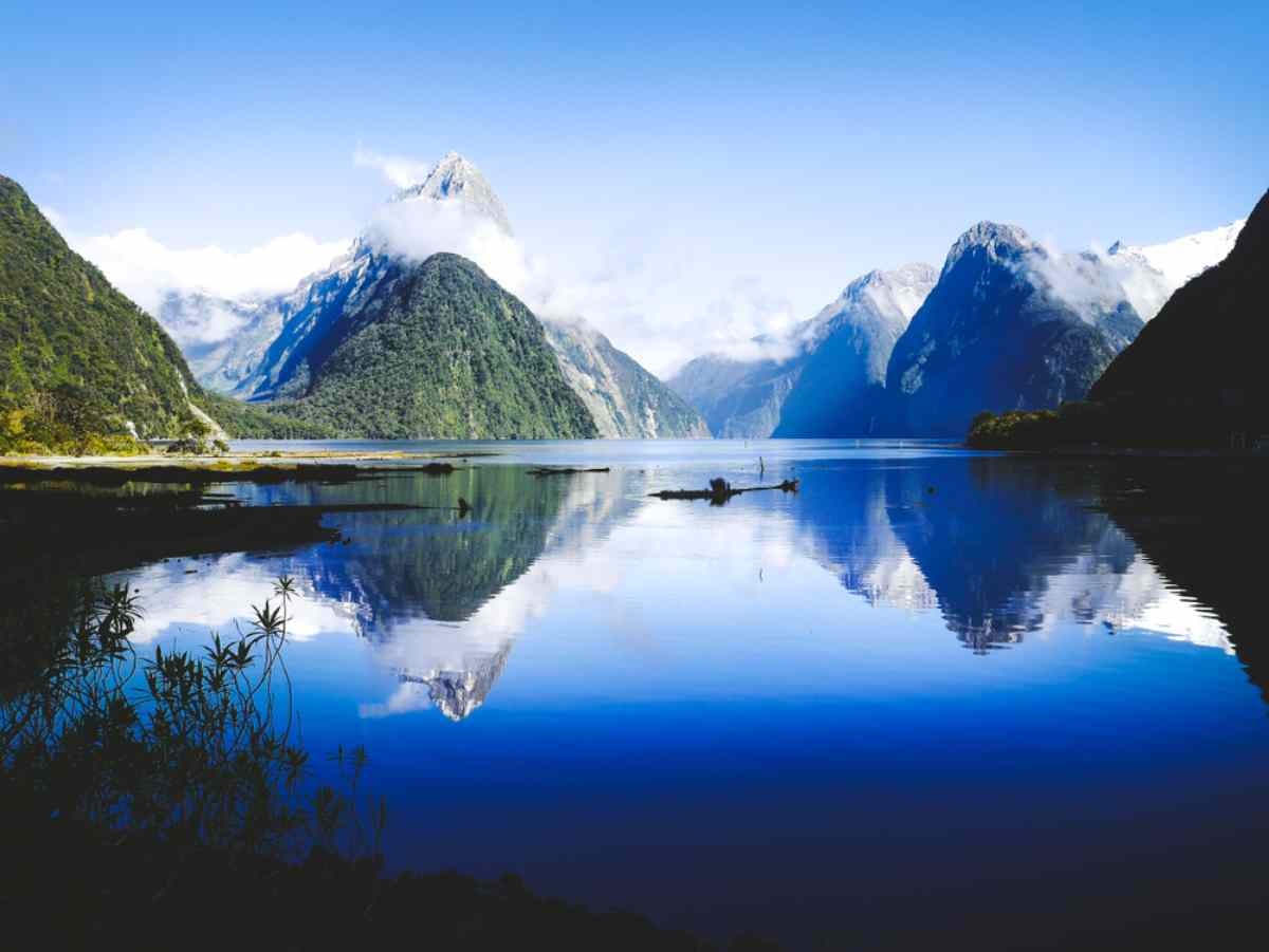 Guide to Milford Sound: What to See & Do