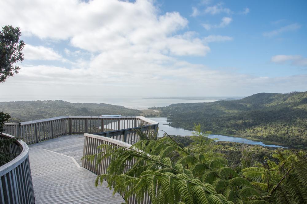 Fox Glacier in New Zealand