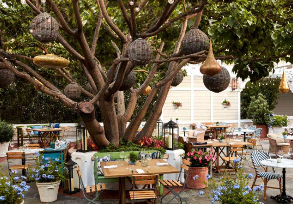 Pump Tracks in Queenstown