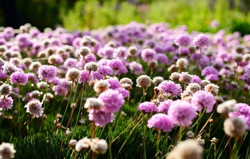 NZ Interislander Ferry views from the deck