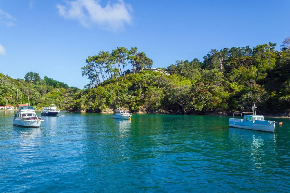 Things to Do in Twizel