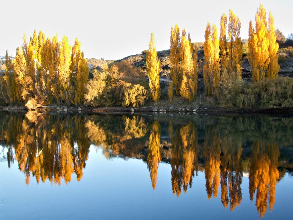 Nature in Alexandra, New Zealand