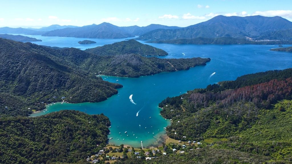 Aerial views of Marlborough Sounds region in New Zealand 
